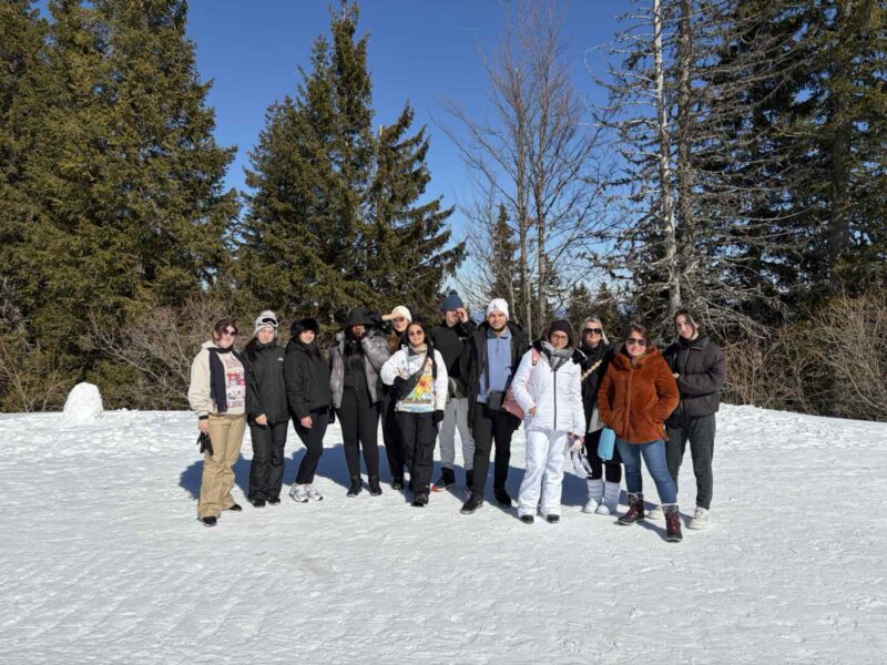 viber_изображение_2026-03-06_19-54-38-686